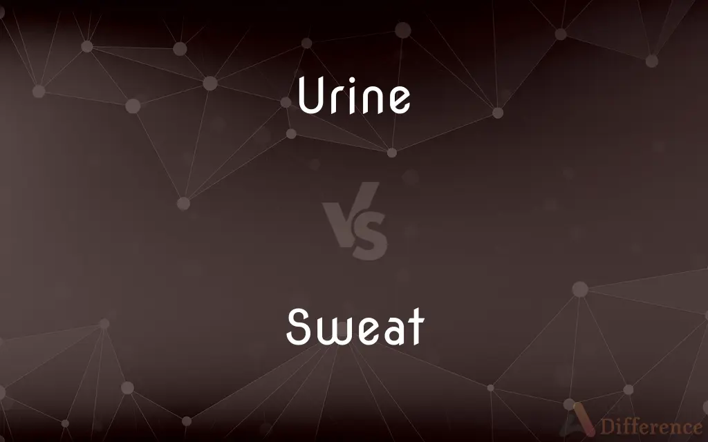 Urine vs. Sweat — What's the Difference?