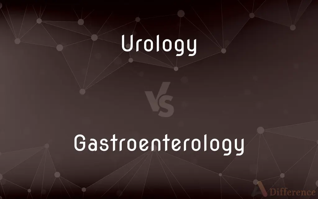 Urology vs. Gastroenterology — What's the Difference?
