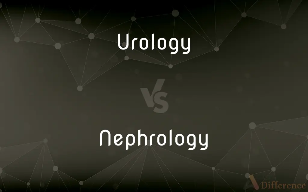 Urology vs. Nephrology — What's the Difference?