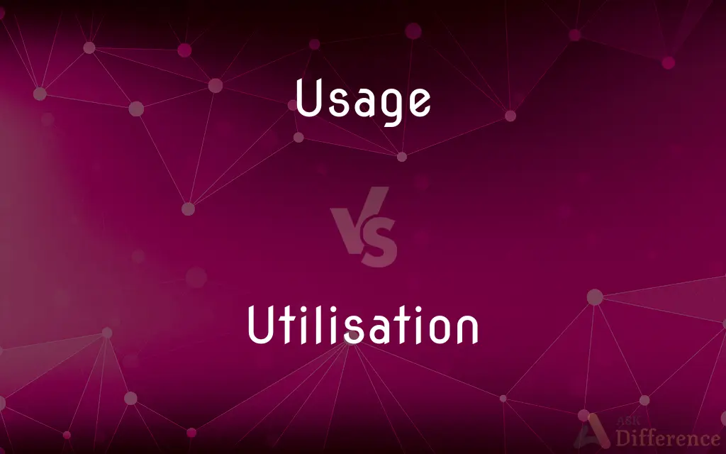Usage vs. Utilisation — What's the Difference?