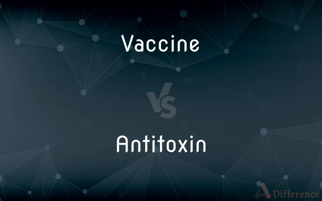 Vaccine vs. Antitoxin — What's the Difference?