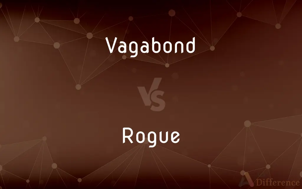Vagabond vs. Rogue — What's the Difference?