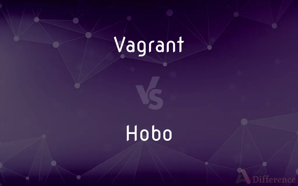 Vagrant vs. Hobo — What's the Difference?