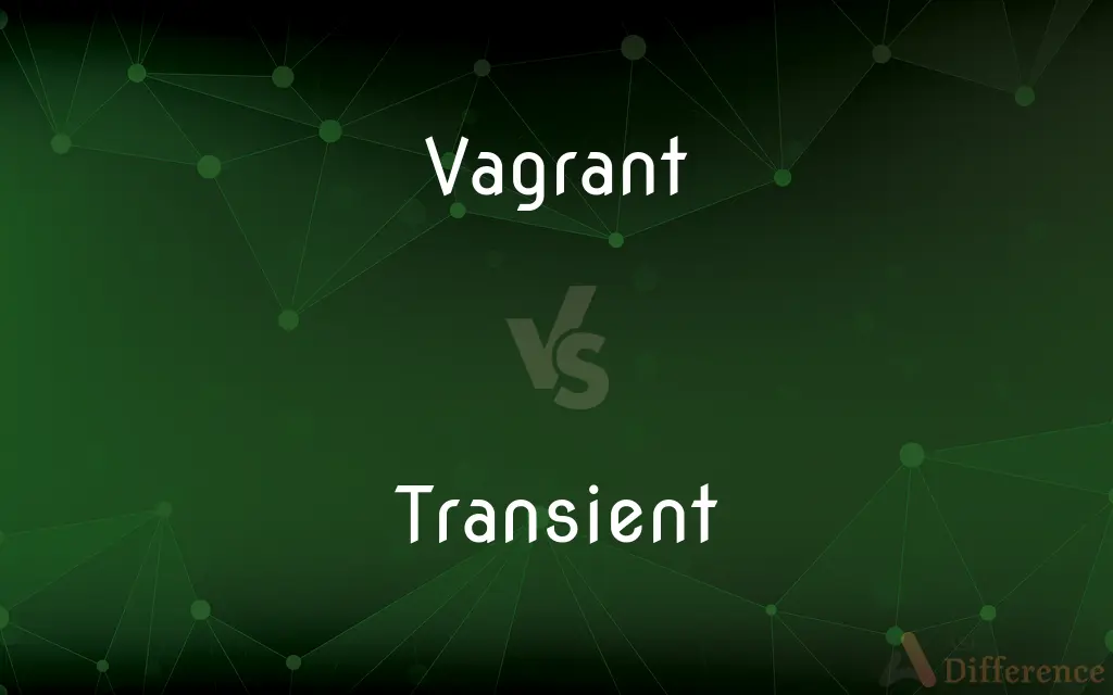 Vagrant vs. Transient — What's the Difference?