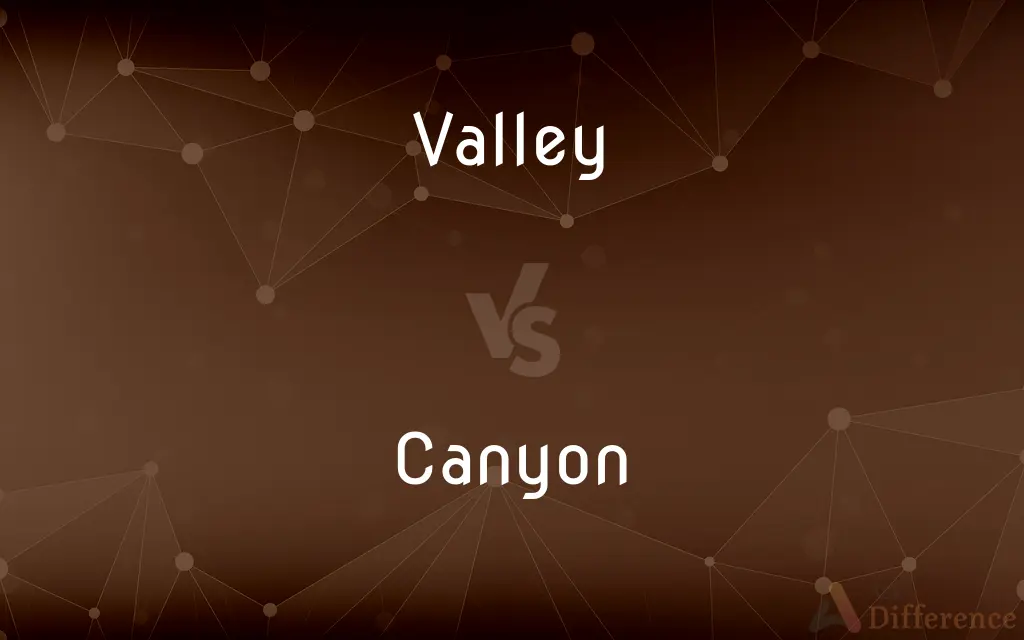 Valley vs. Canyon — What's the Difference?