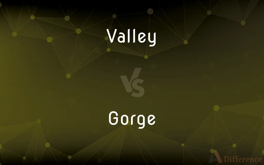 Valley vs. Gorge — What's the Difference?