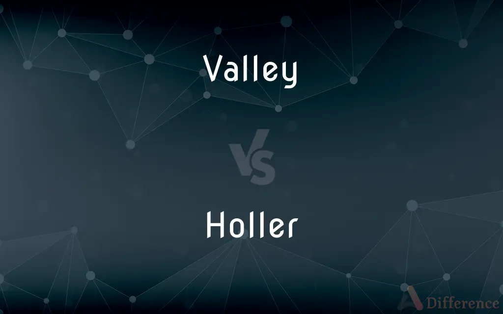 Valley vs. Holler — What's the Difference?