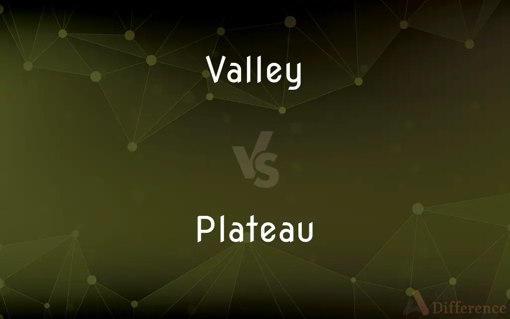 Valley vs. Plateau — What's the Difference?