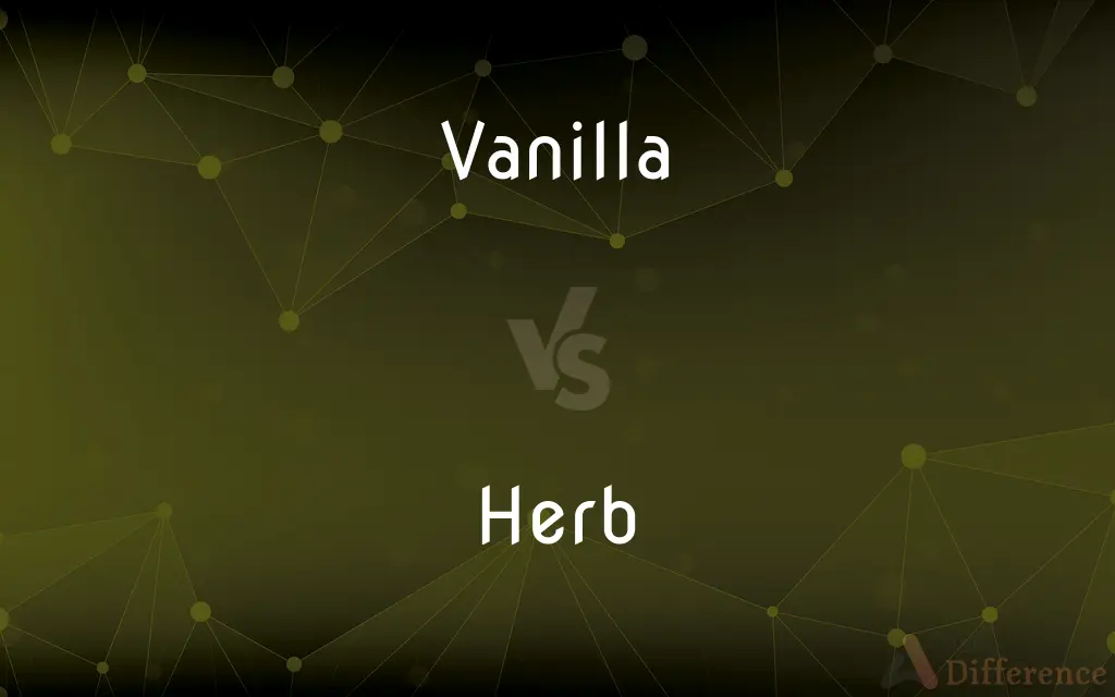Vanilla vs. Herb — What's the Difference?