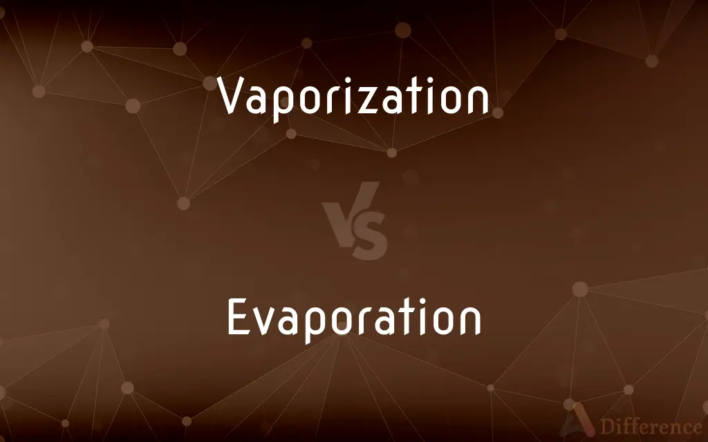 Vaporization vs. Evaporation — What's the Difference?