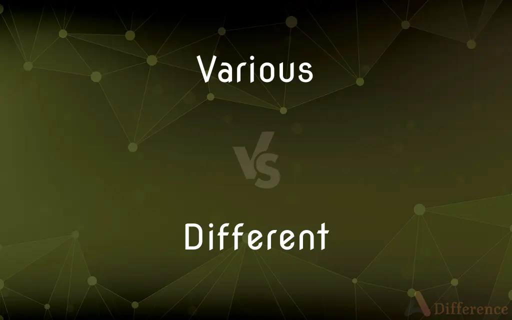 Various vs. Different — What's the Difference?