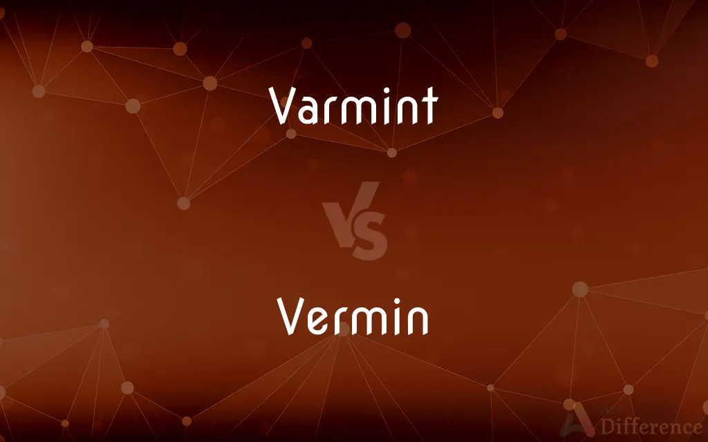 Varmint vs. Vermin — What's the Difference?