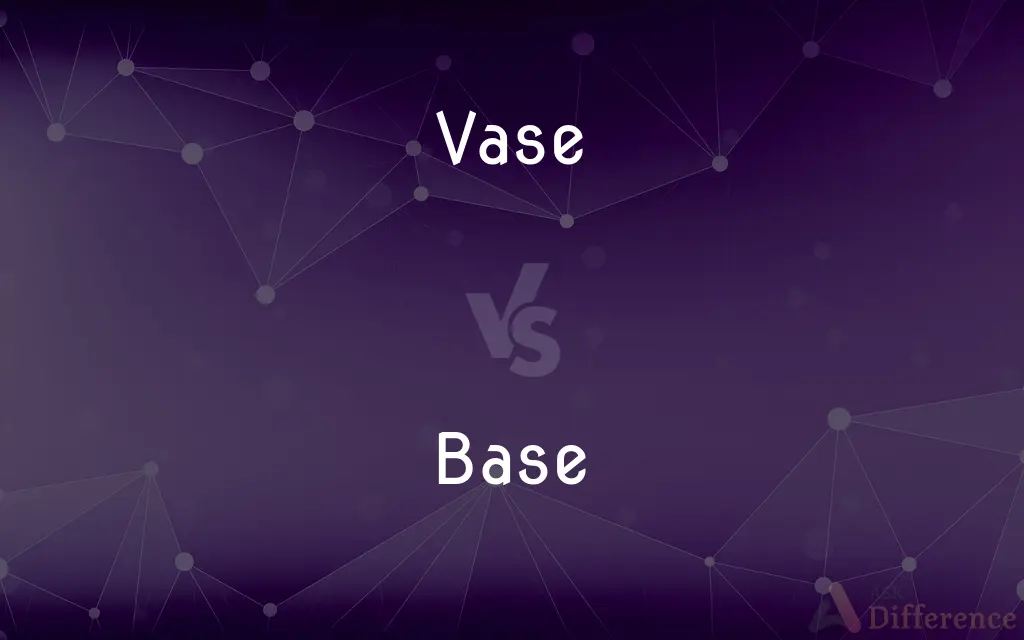 Vase vs. Base — What's the Difference?
