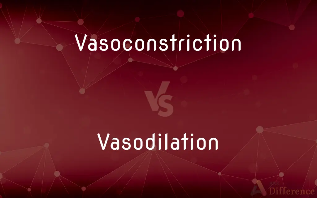 Vasoconstriction vs. Vasodilation — What's the Difference?