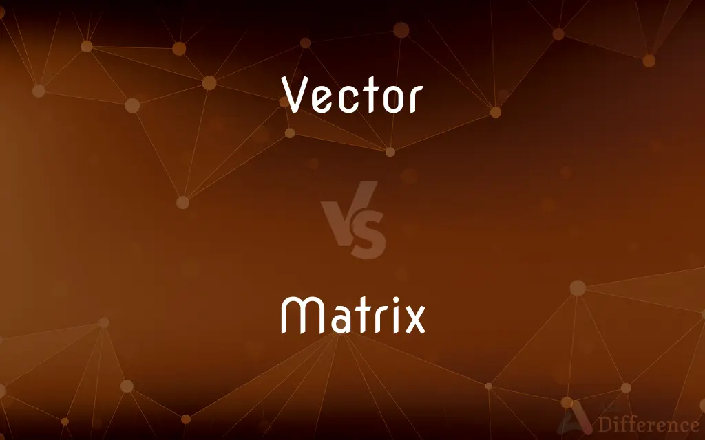 Vector vs. Matrix — What's the Difference?