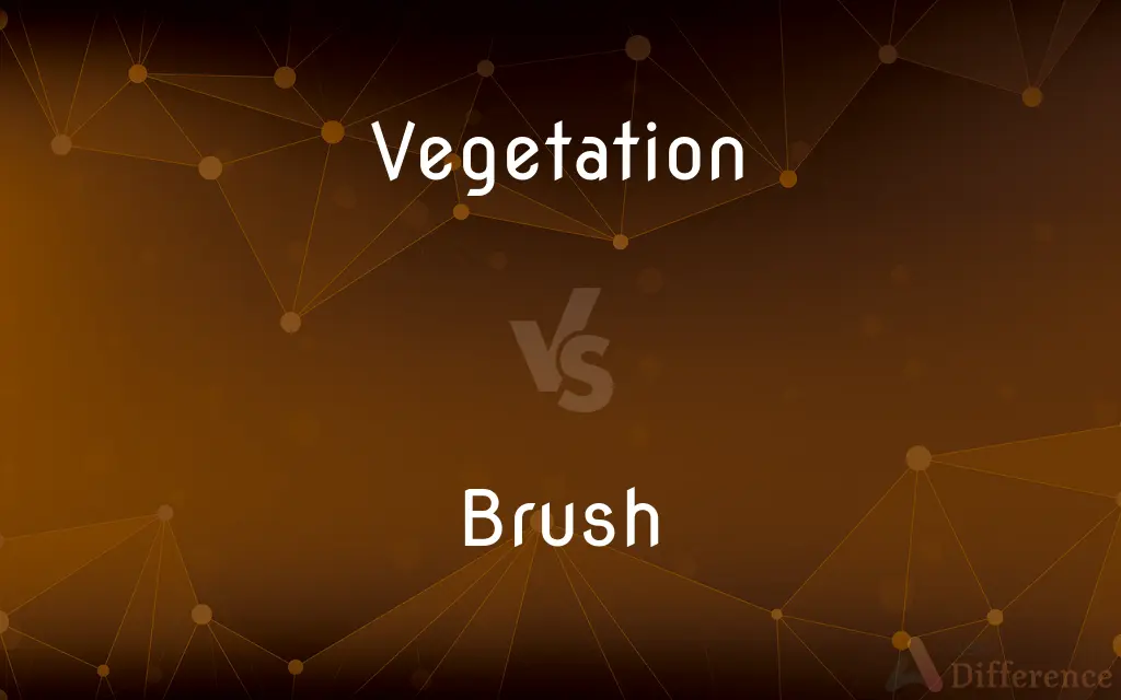 Vegetation vs. Brush — What's the Difference?