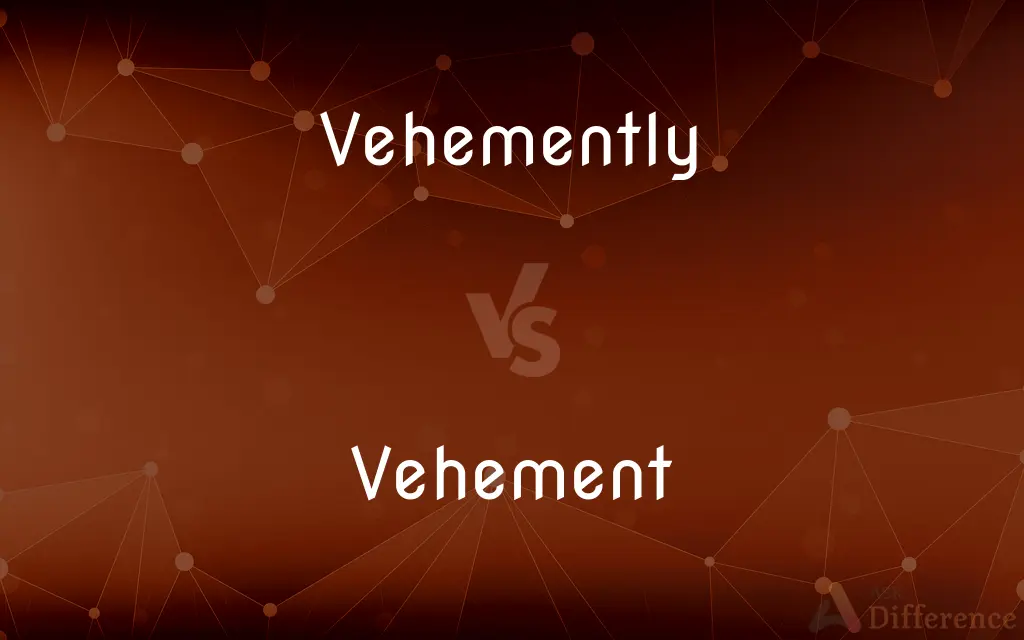 Vehemently vs. Vehement — What's the Difference?