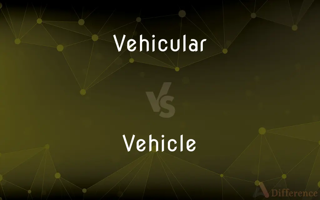 Vehicular vs. Vehicle — What's the Difference?