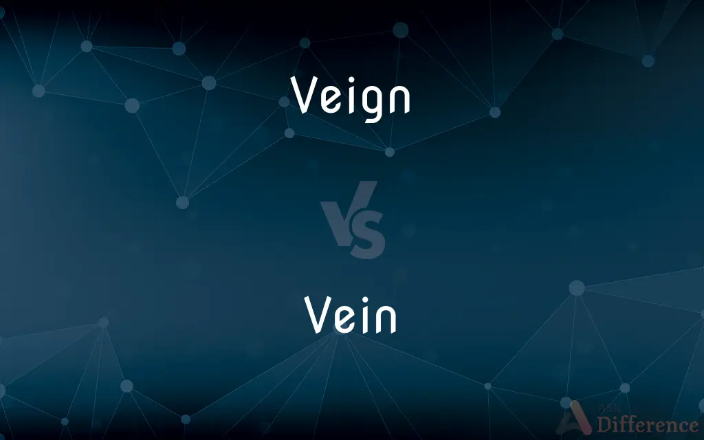 Veign vs. Vein — Which is Correct Spelling?