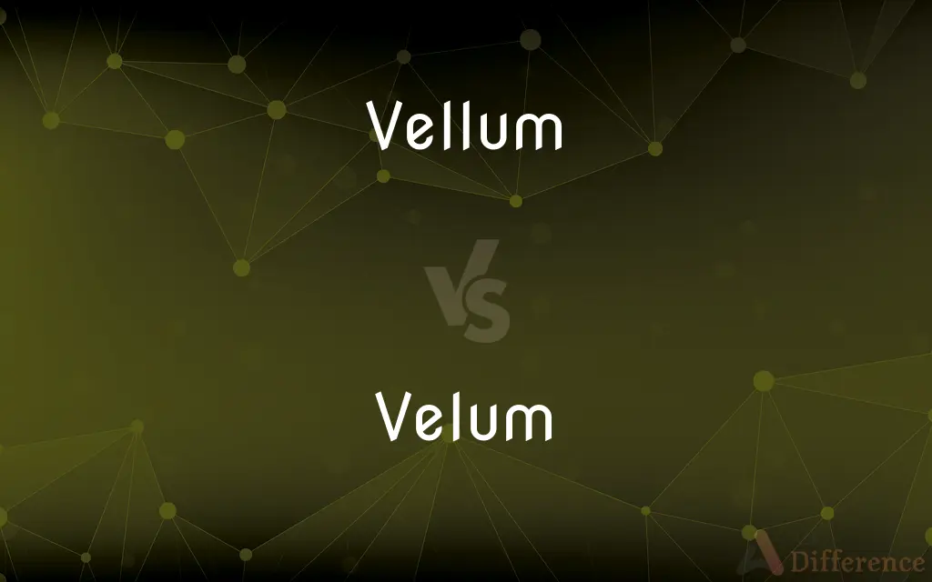 Vellum vs. Velum — What's the Difference?