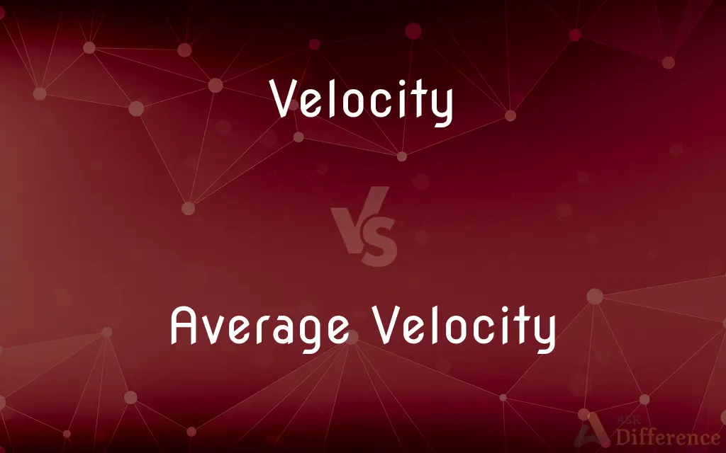 Velocity vs. Average Velocity — What's the Difference?