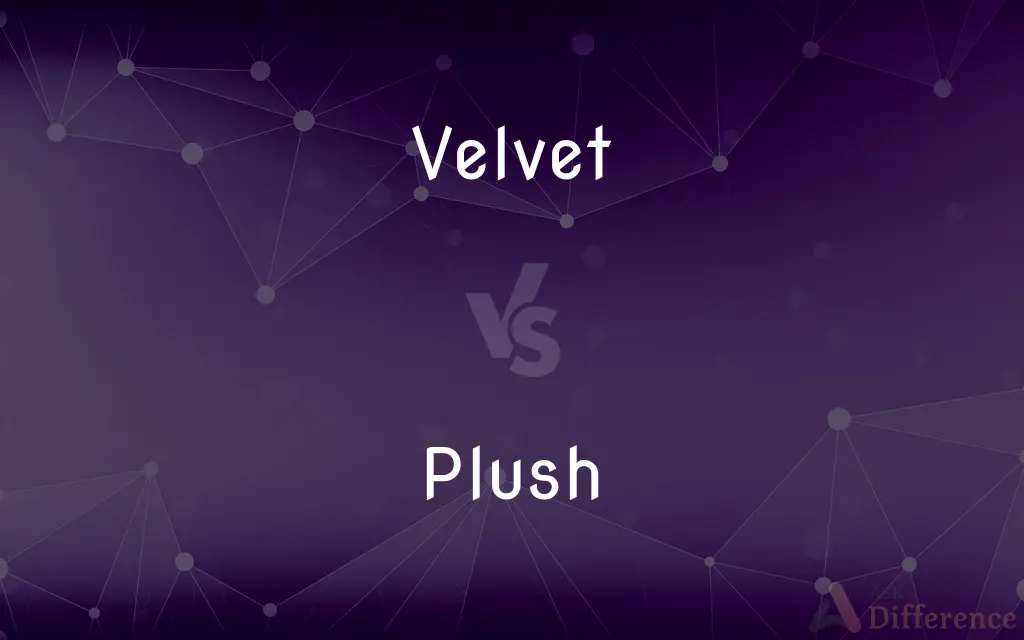 Velvet vs. Plush — What's the Difference?