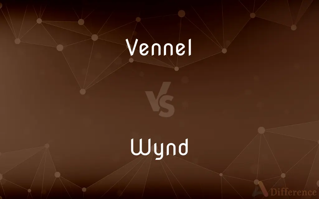 Vennel vs. Wynd — What's the Difference?