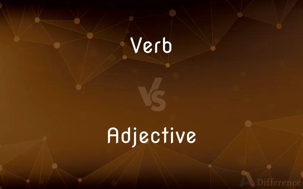 Verb vs. Adjective — What's the Difference?