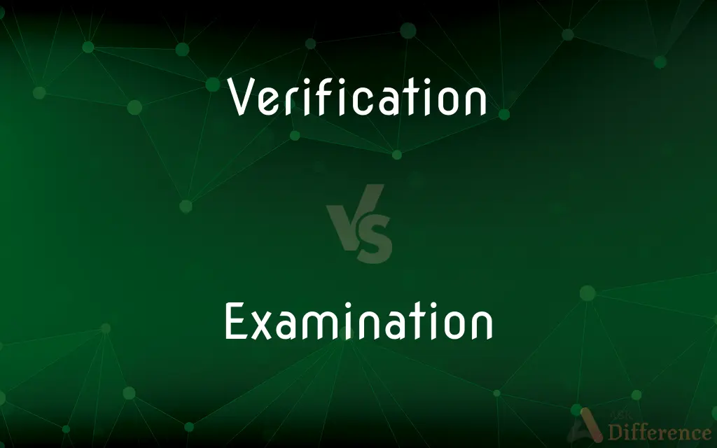 Verification vs. Examination — What's the Difference?