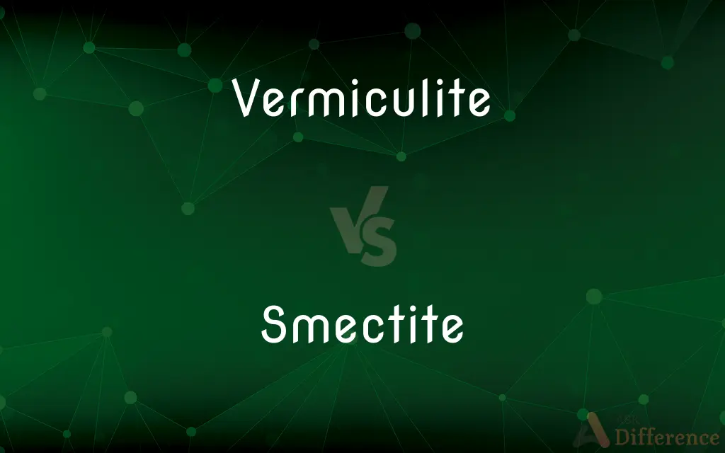 Vermiculite vs. Smectite — What's the Difference?