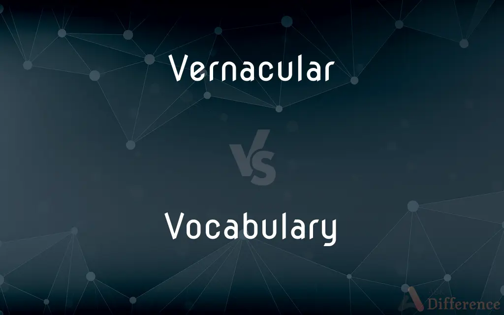 Vernacular vs. Vocabulary — What's the Difference?