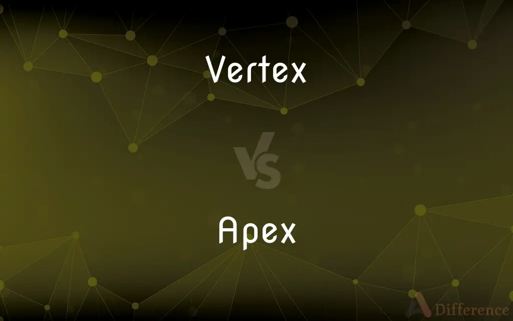 Vertex vs. Apex — What's the Difference?