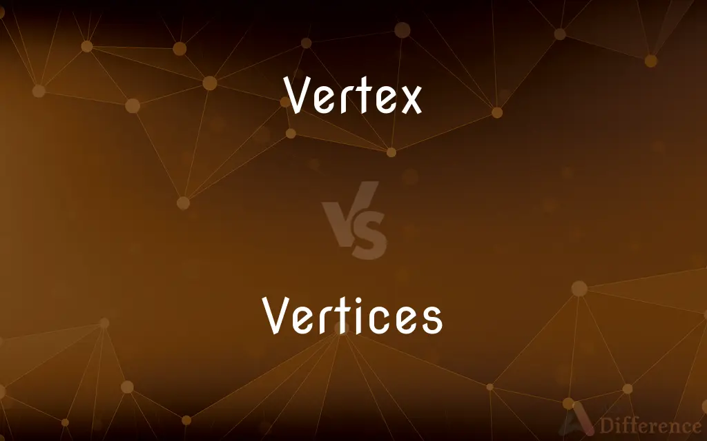 Vertex vs. Vertices — What's the Difference?