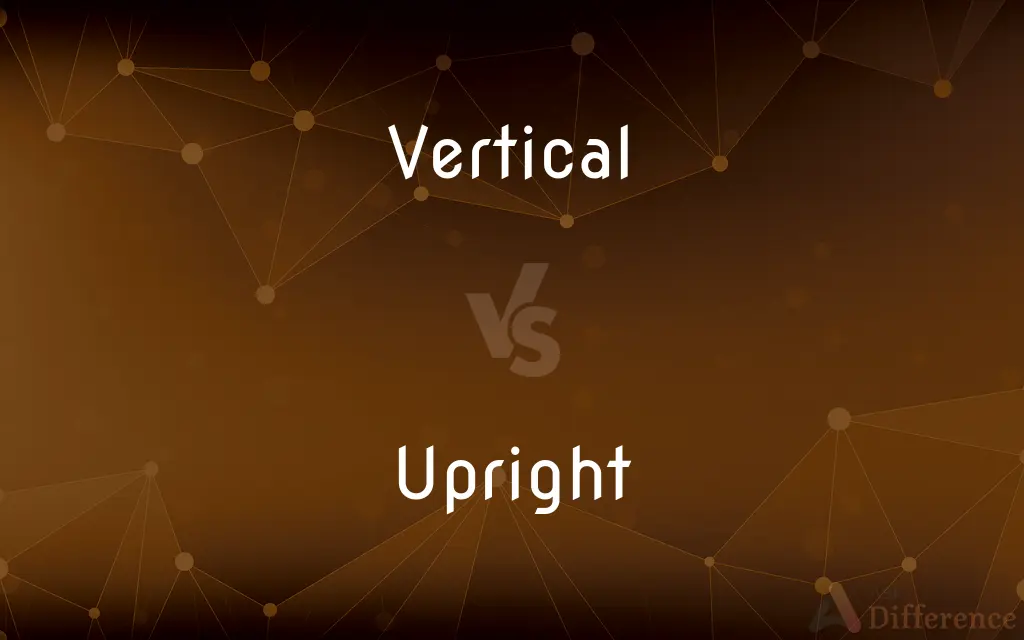 Vertical vs. Upright — What's the Difference?