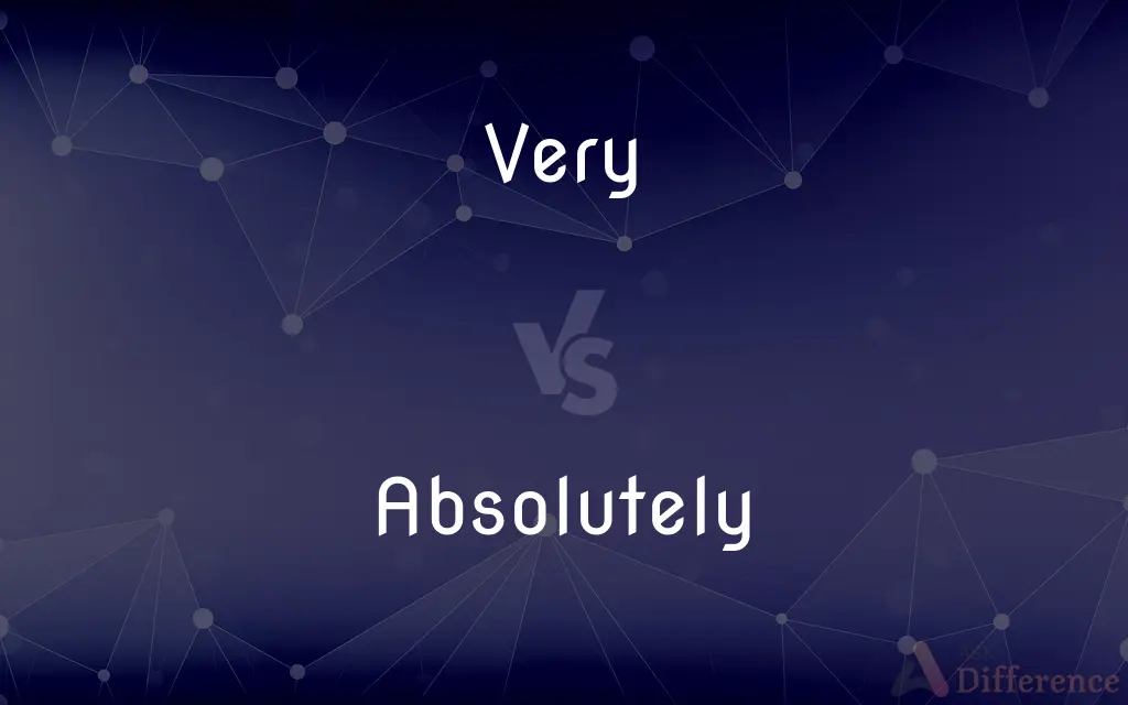Very vs. Absolutely — What's the Difference?