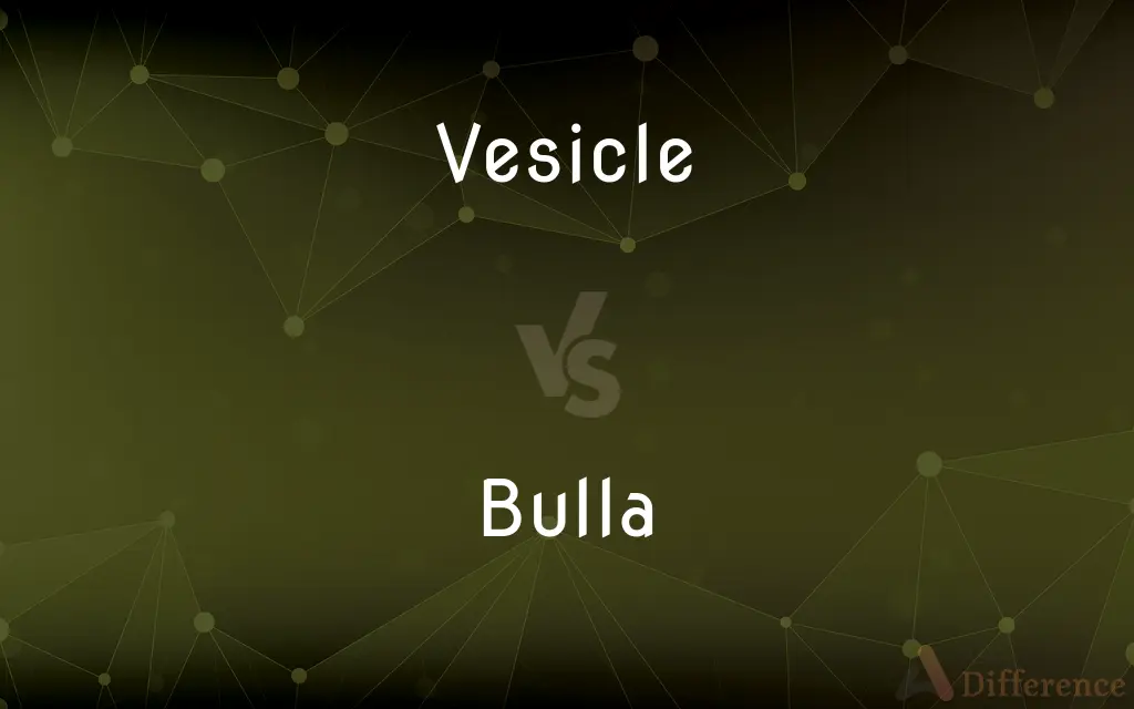Vesicle vs. Bulla — What's the Difference?