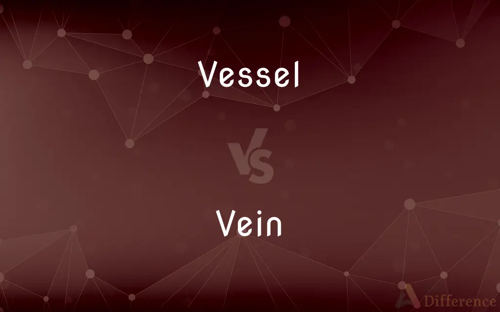 Vessel vs. Vein — What's the Difference?