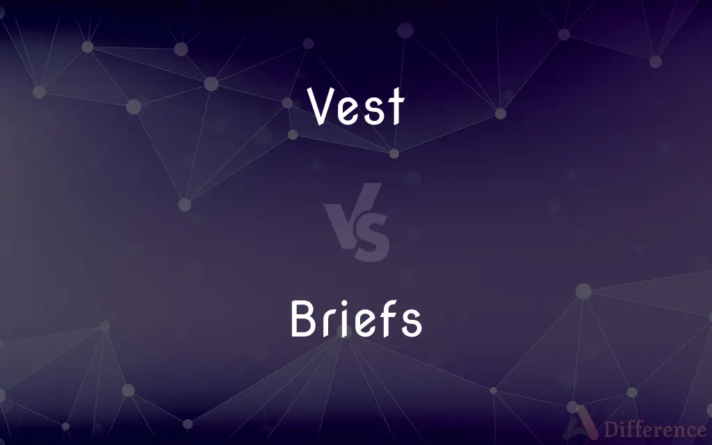 Vest vs. Briefs — What's the Difference?