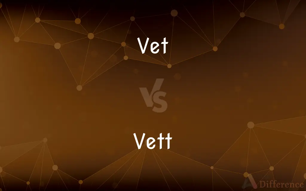 Vet vs. Vett — Which is Correct Spelling?