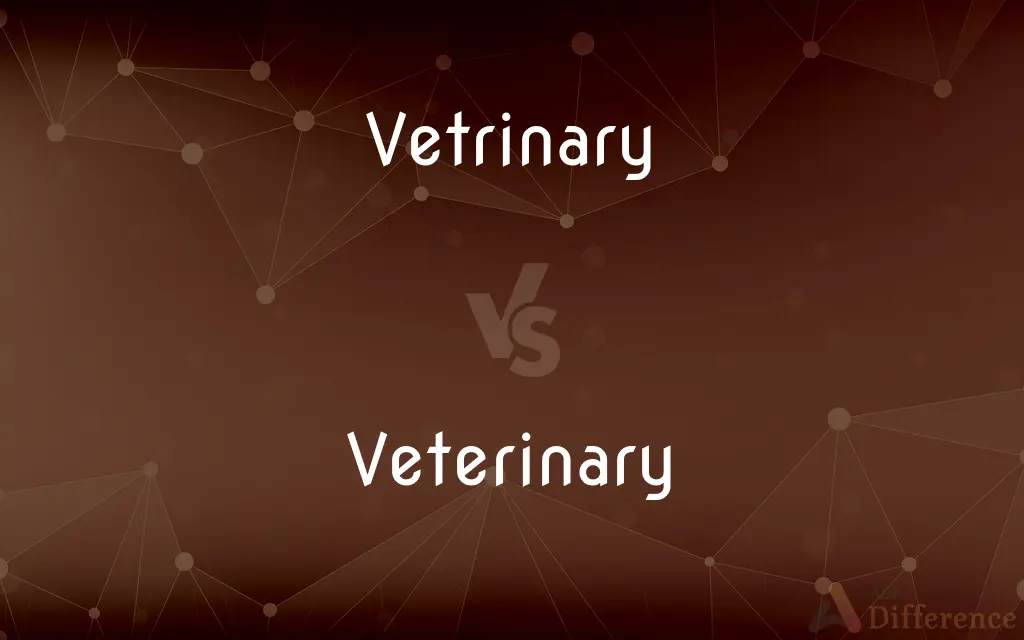 Vetrinary vs. Veterinary — Which is Correct Spelling?