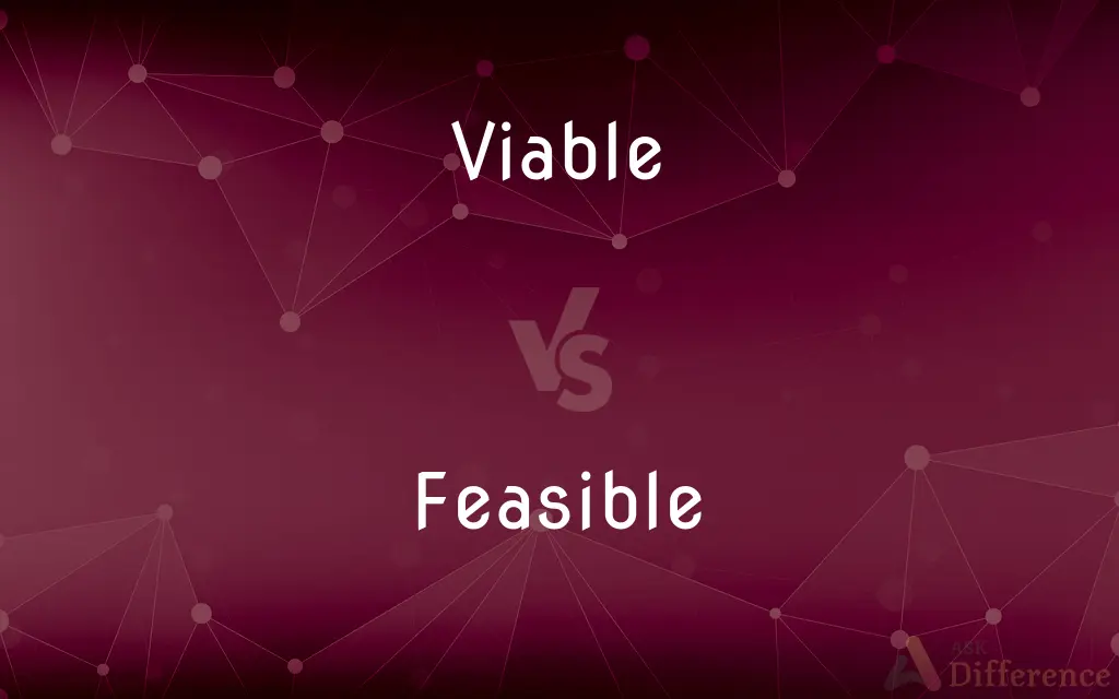 Viable vs. Feasible — What's the Difference?