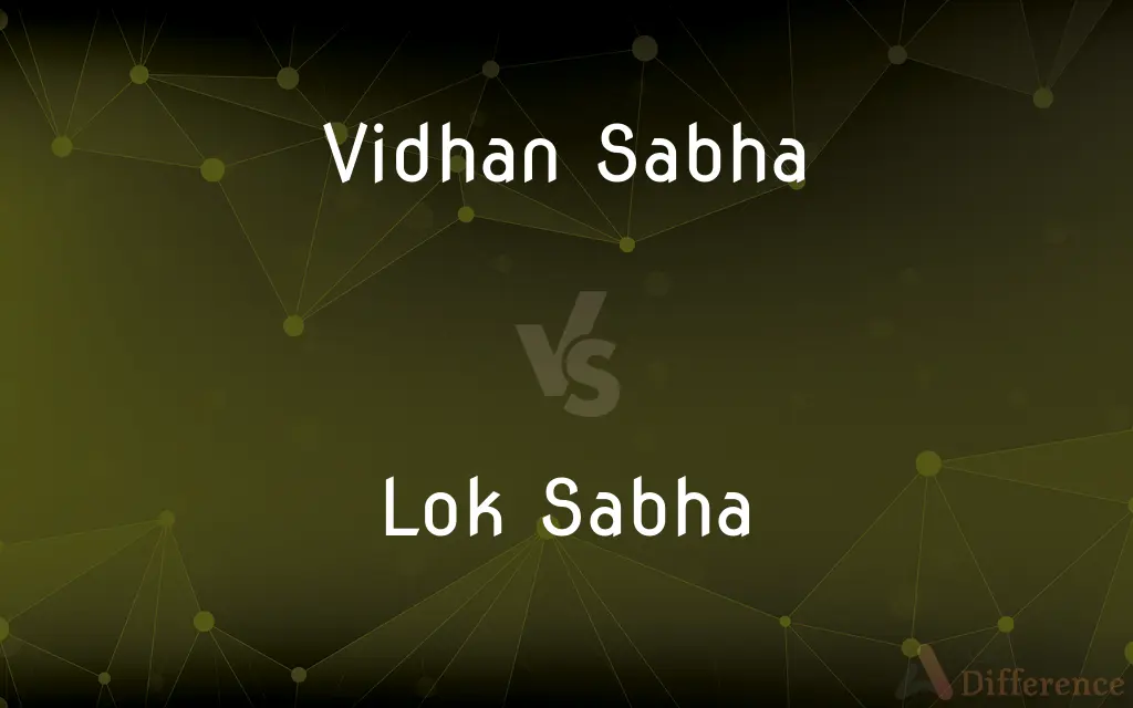 Vidhan Sabha vs. Lok Sabha — What's the Difference?
