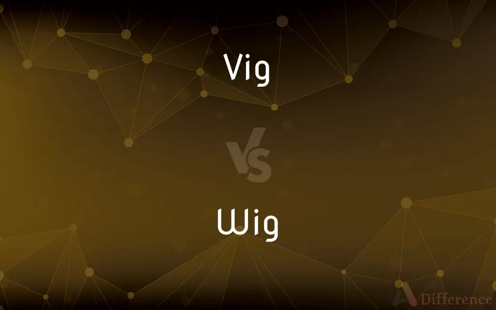Vig vs. Wig — What's the Difference?