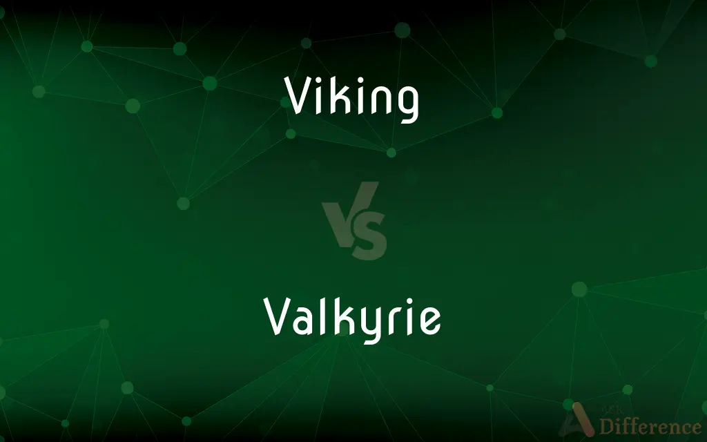 Viking vs. Valkyrie — What's the Difference?