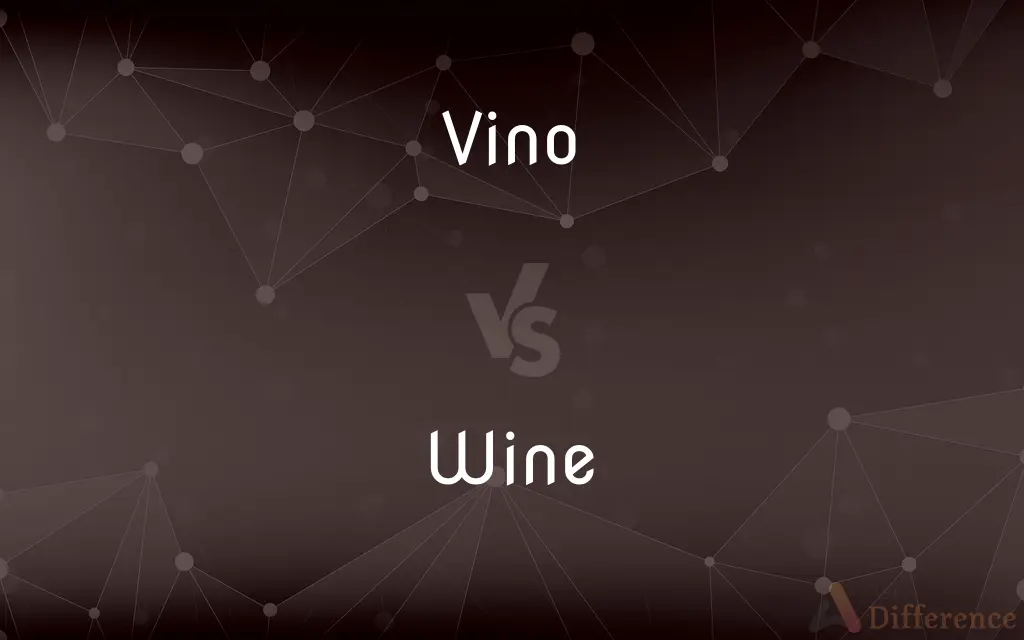 Vino vs. Wine — What's the Difference?