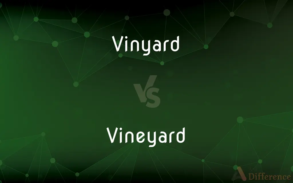 Vinyard vs. Vineyard — Which is Correct Spelling?