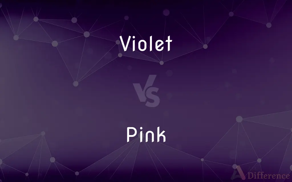 Violet vs. Pink — What's the Difference?