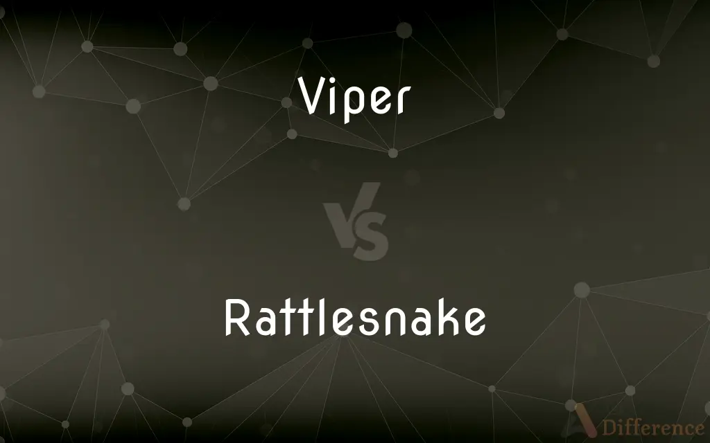 Viper vs. Rattlesnake — What's the Difference?