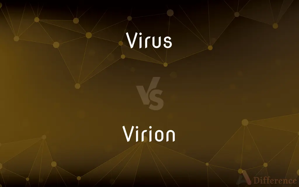 Virus vs. Virion — What's the Difference?