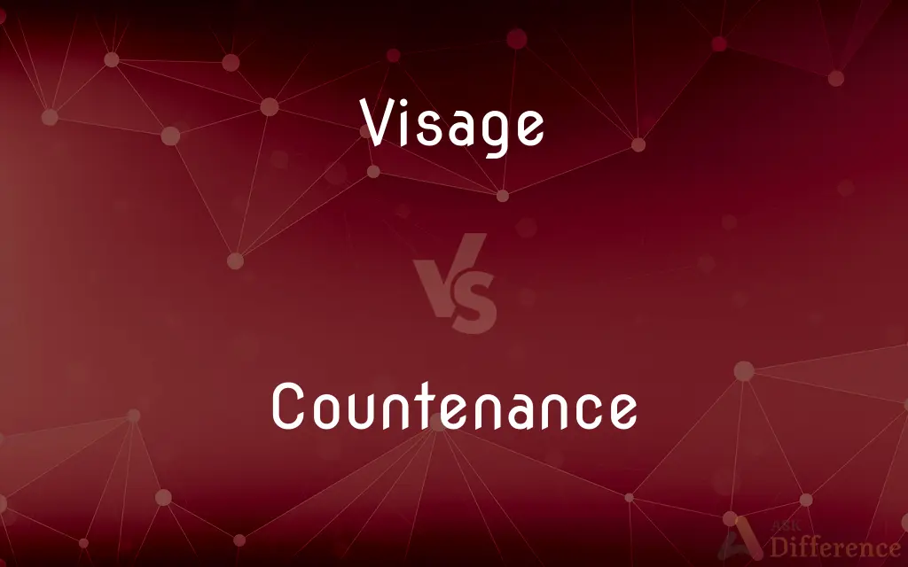 Visage vs. Countenance — What's the Difference?